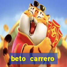 beto carrero cidades proximas